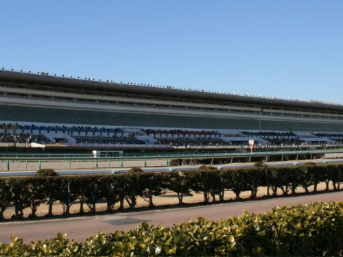 中山競馬場