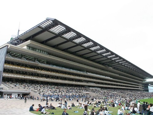 東京競馬場