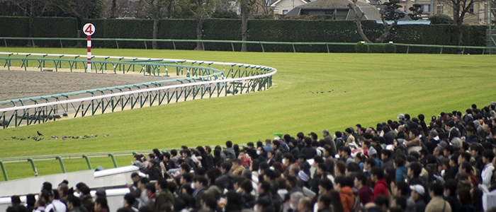 馬券が当たらない理由